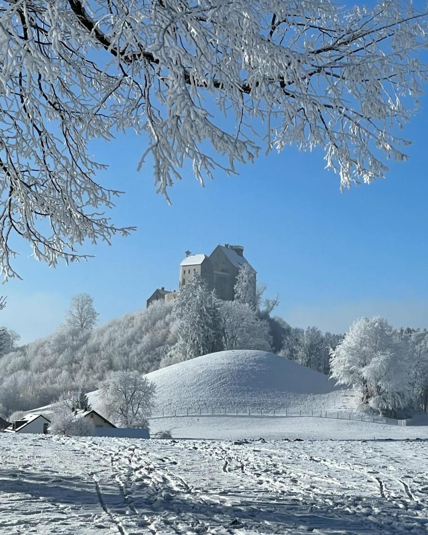 Апартаменти Am Kohlenberg Waldburg Екстер'єр фото